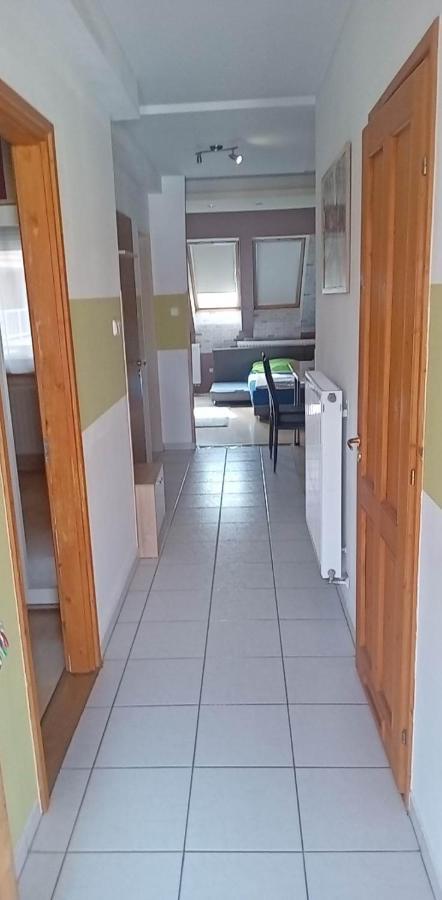 Levendula Διαμέρισμα Bekescsaba Εξωτερικό φωτογραφία